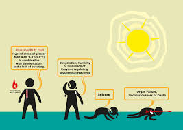 Heat stress is more than a degree of concern