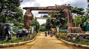 Biligiri Ranganathaswamy Temple Tiger Reserve (BRT)