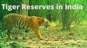 Tiger Reserves of India