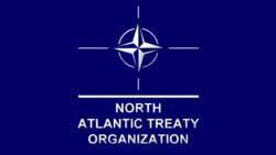 North Atlantic Treaty Organization (NATO)