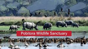 Pobitora Wildlife Sanctuary